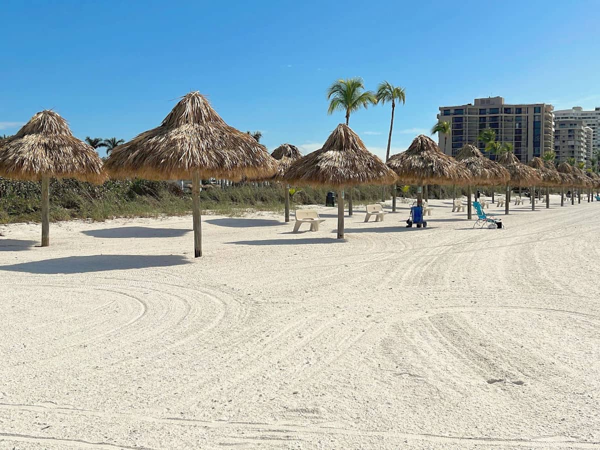 Many single pole tiki umbrellas on a beach.